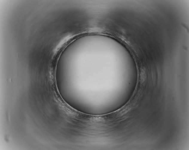 X0000102221454200808011151