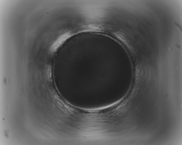 X0000102221455200808011151