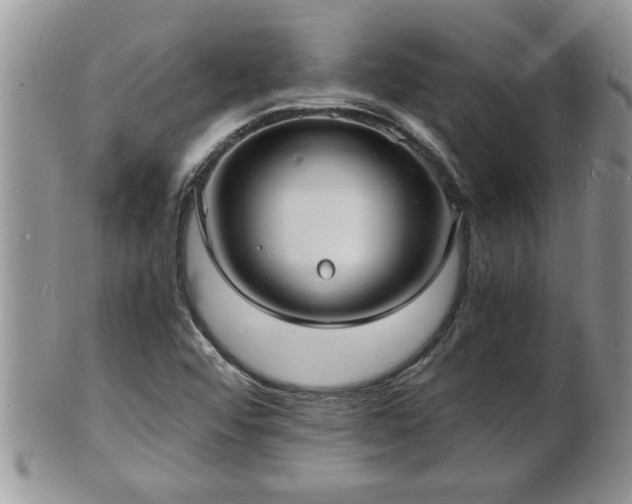 X0000102221456200808011151