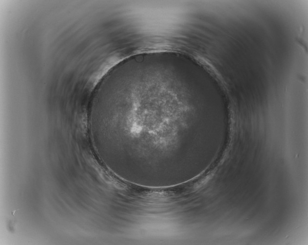 X0000102221457200808011151