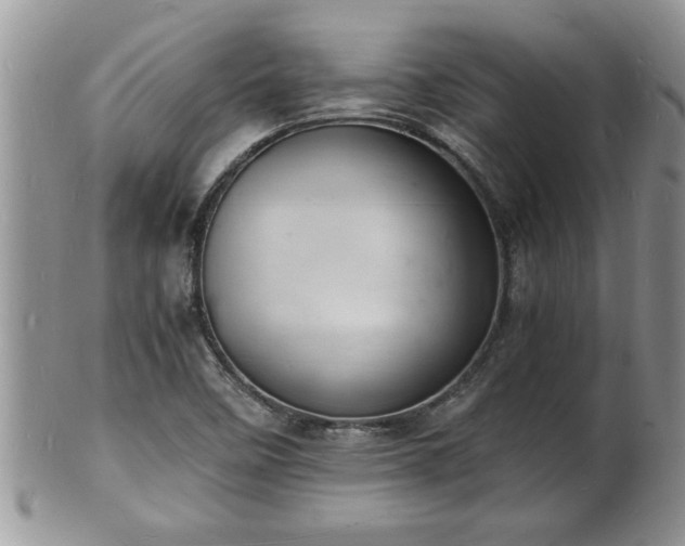 X0000102221458200808011151