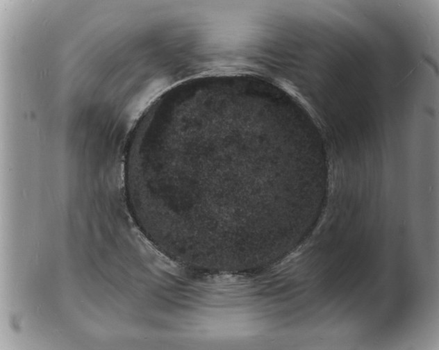 X0000102221459200808011151