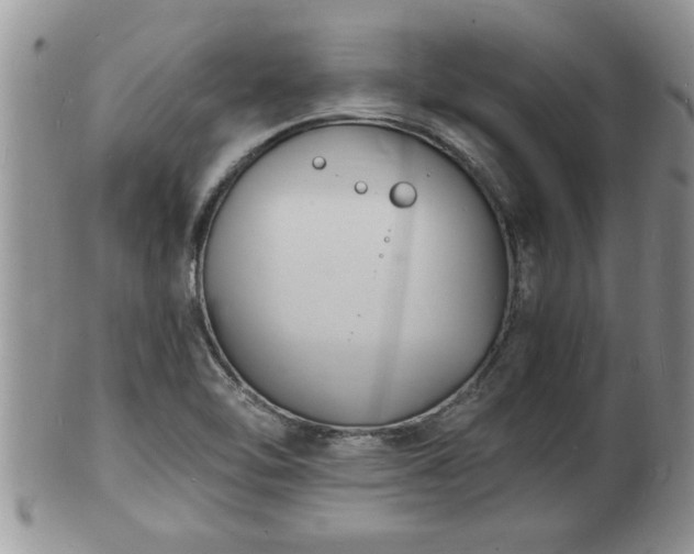 X0000102221462200808011151