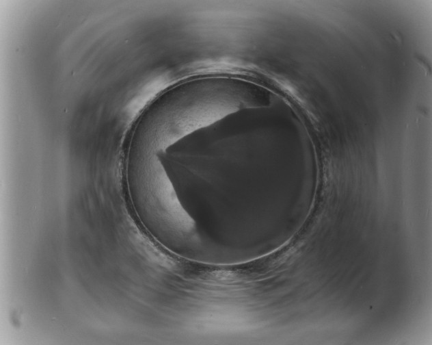 X0000102221463200808011151