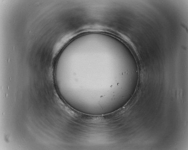 X0000102221464200808011151