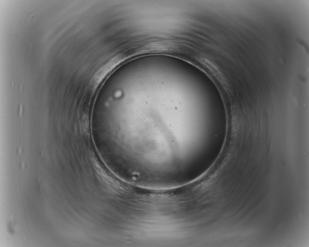 X0000102221465200808011151