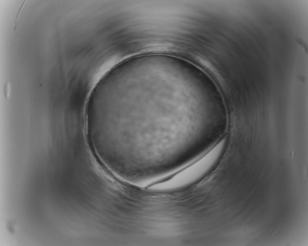 X0000102221467200808011151