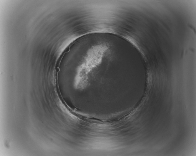 X0000102221468200808011151