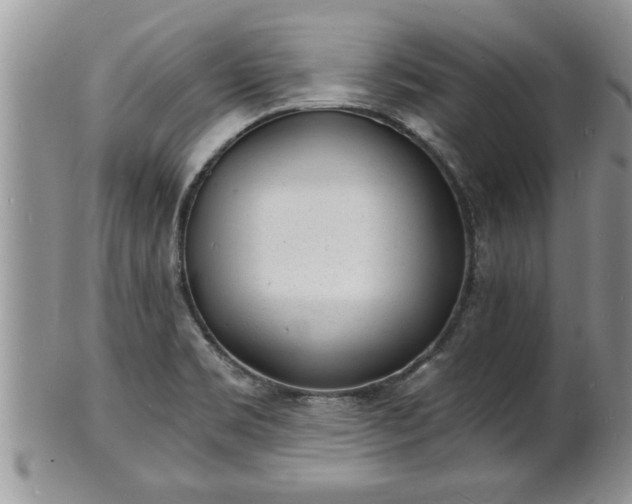 X0000102221469200808011151