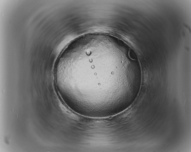 X0000102221471200808011151