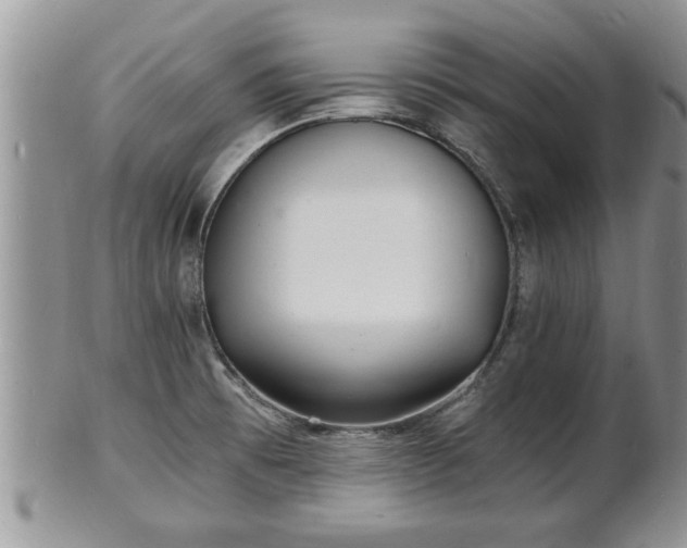 X0000102221473200808011151