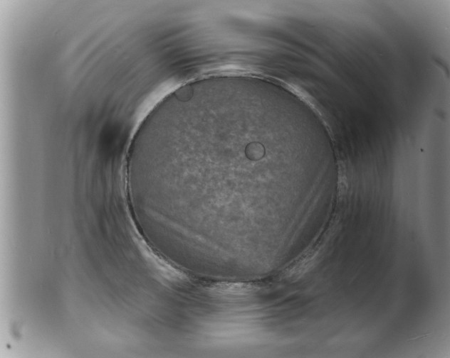 X0000102221474200808011151