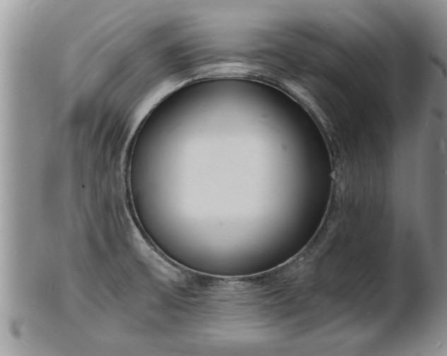 X0000102221475200808011151