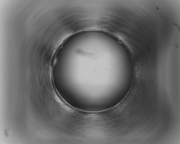 X0000102221476200808011151