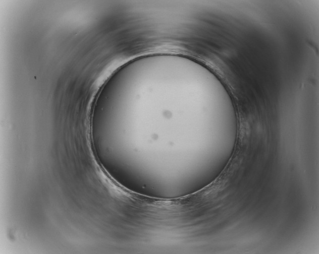 X0000102221478200808011151