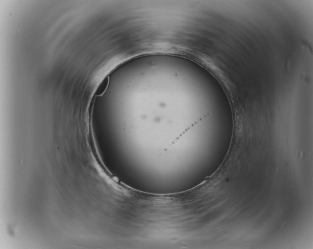 X0000102221479200808011151