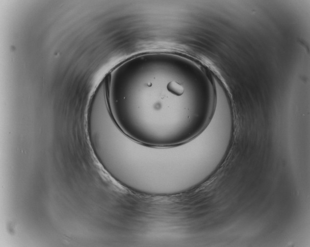 X0000102221480200808011151