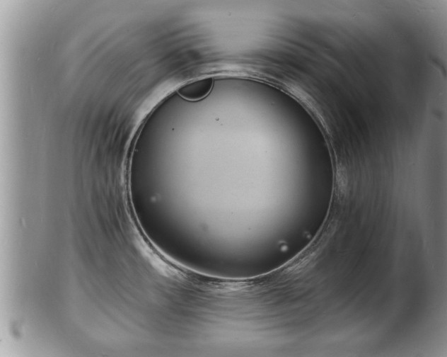 X0000102221482200808011151