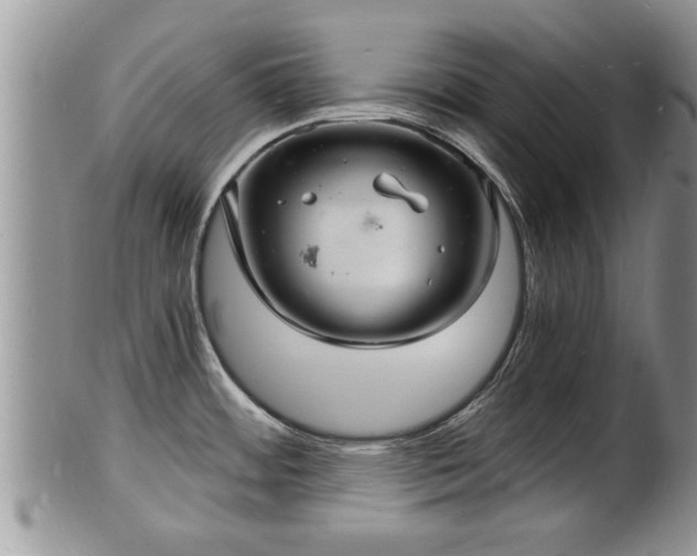 X0000102221484200808011151