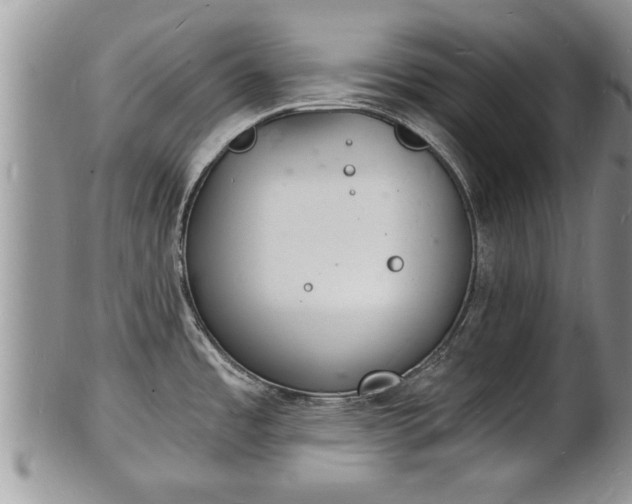 X0000102221485200808011150