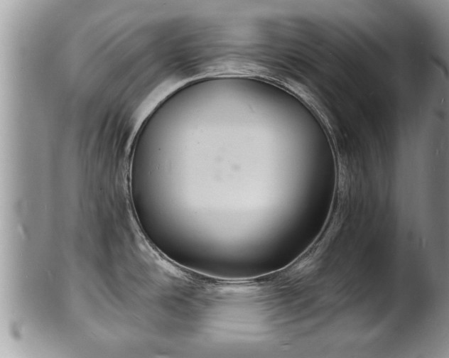 X0000102221486200808011150