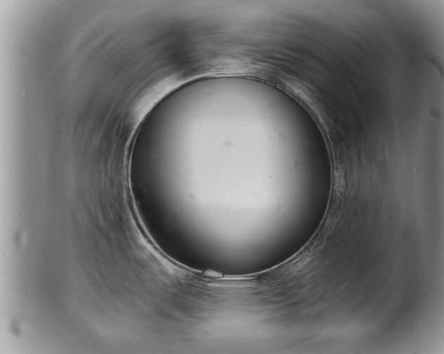 X0000102221487200808011150