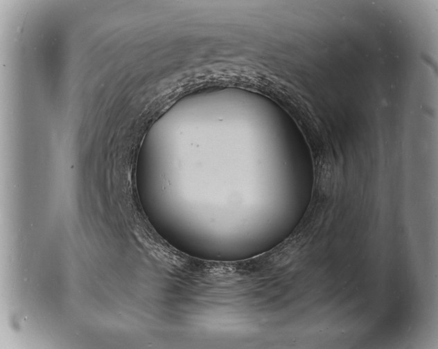 X0000102221489200808011150