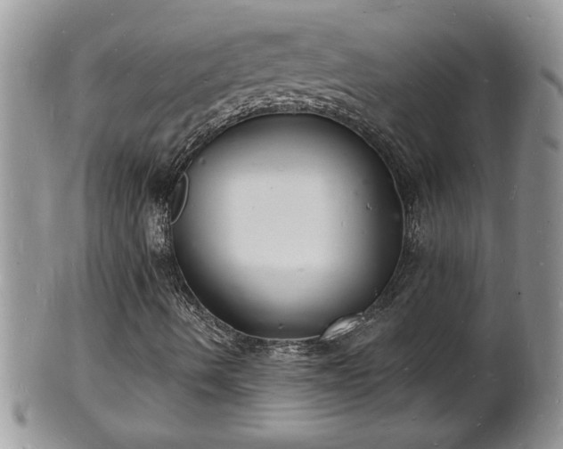 X0000102221490200808011150