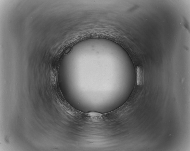 X0000102221491200808011150