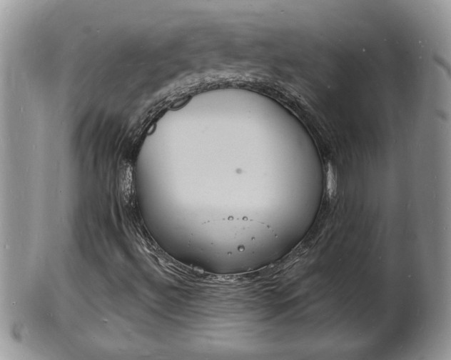 X0000102221492200808011150