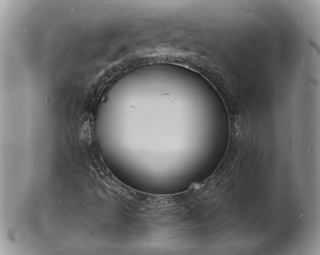 X0000102221493200808011150