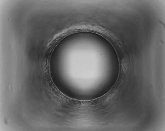 X0000102221494200808011150