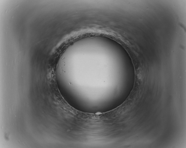 X0000102221495200808011150