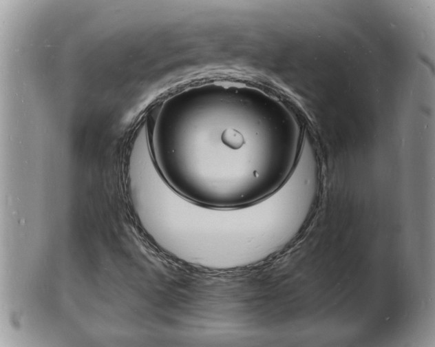 X0000102221496200808011150