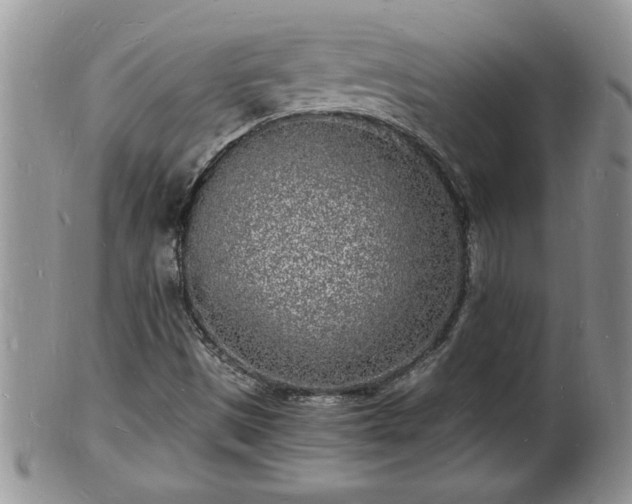 X0000102221497200808011150