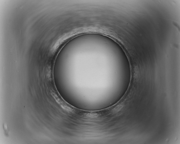 X0000102221499200808011150