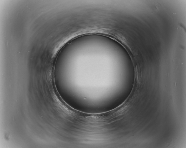 X0000102221500200808011150