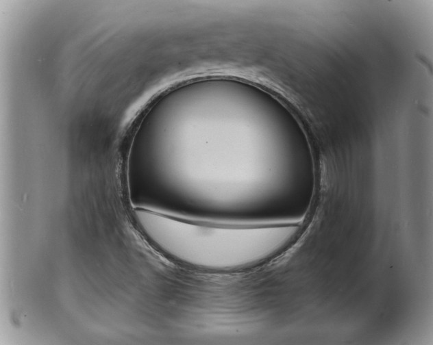 X0000102221502200808011150