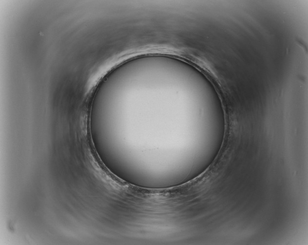 X0000102221504200808011150