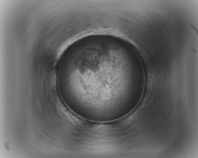 X0000102221506200808011150