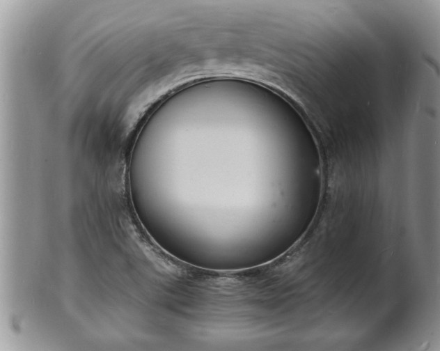 X0000102221507200808011150