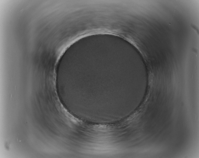 X0000102221508200808011150