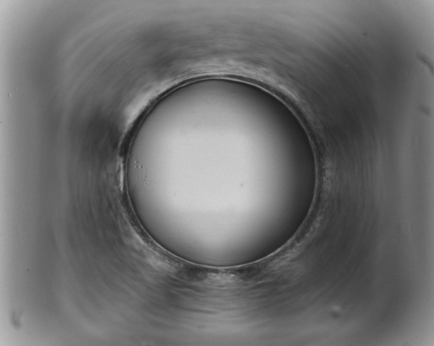 X0000102221509200808011150