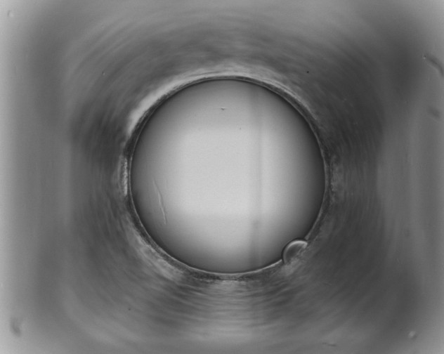 X0000102221510200808011150