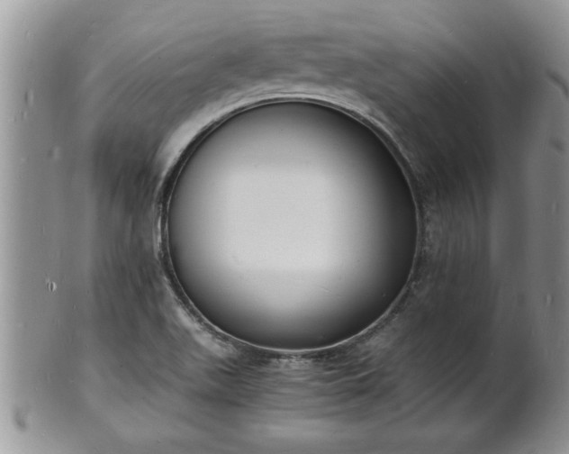 X0000102221511200808011150