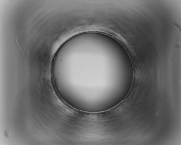 X0000102221512200808011150