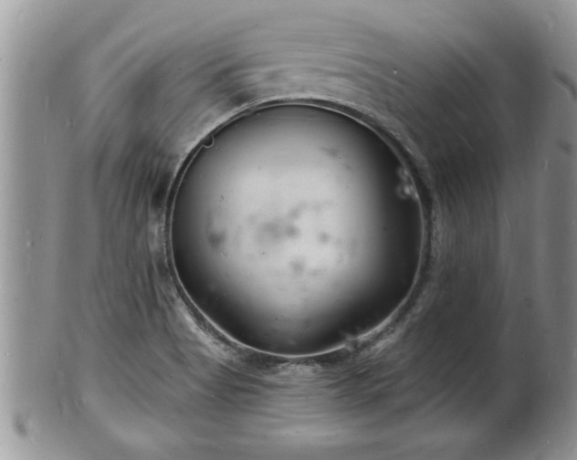 X0000102221513200808011150