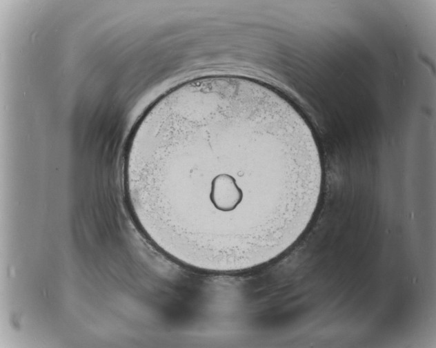 X0000102221514200808011150