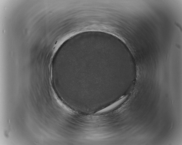 X0000102221515200808011150