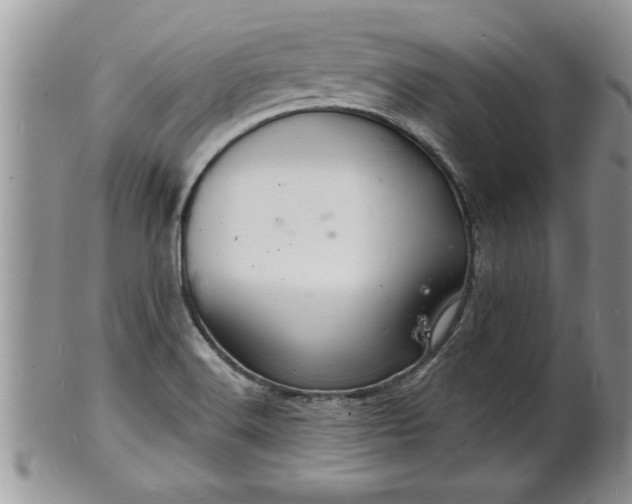 X0000102221516200808011150